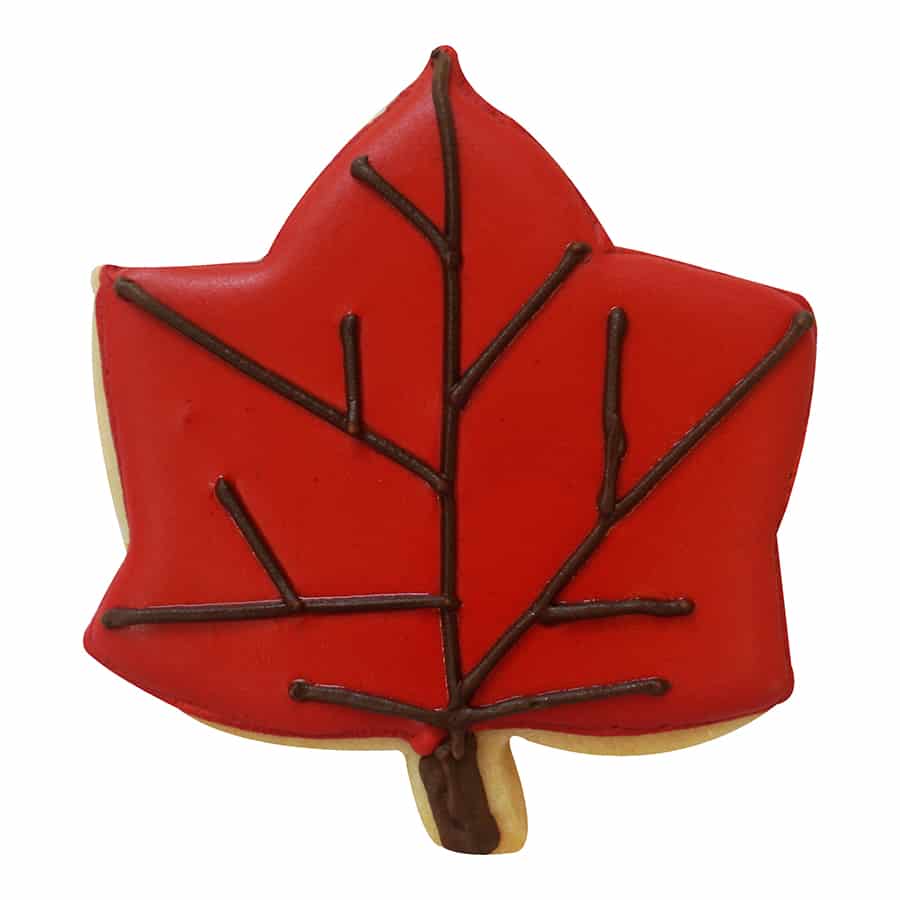 Ivy leaf-shaped sugar cookie decorated with vibrant red icing and brown vein details.
