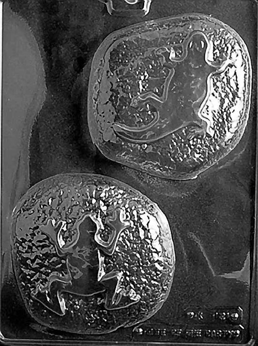 Reptile Rocks chocolate mold, clear mold shaped like rocky reptile designs for candy.