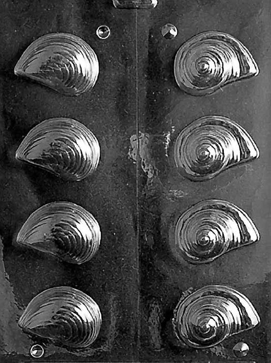 Chocolate mold N026 3D Shells with dimensional seashell-shaped cavities.