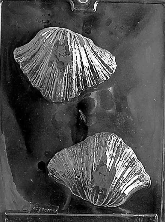 Chocolate mold N036 Bear Claw Shell with wide fan shell cavity, deep ridges and curved edge.