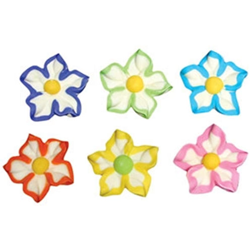 Assorted royal icing star-shaped flowers with white petals and colorful outlines in blue, green, teal, orange, yellow, and pink, each with a round yellow or green center.
