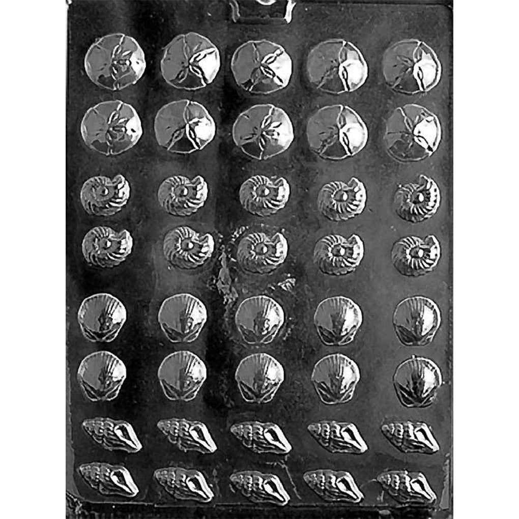 Clear plastic chocolate mold filled with many small seashell-shaped cavities in assorted styles, including sand dollars, nautilus spirals, scallop shells, and conch shells.