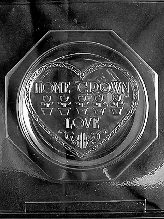 HOME GROWN PLATE chocolate mold with rectangular embossed plate cavities.