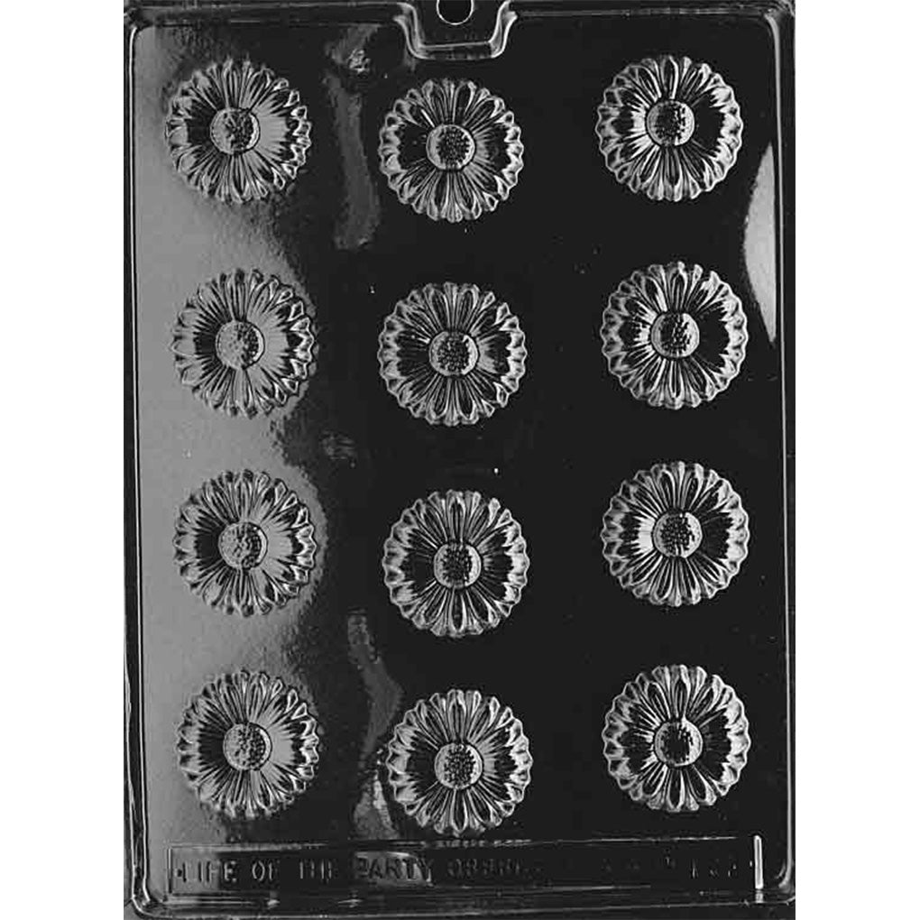Clear plastic chocolate mold photographed on a black background with multiple small aster flower cavities in rows, each showing layered petals and a textured center.