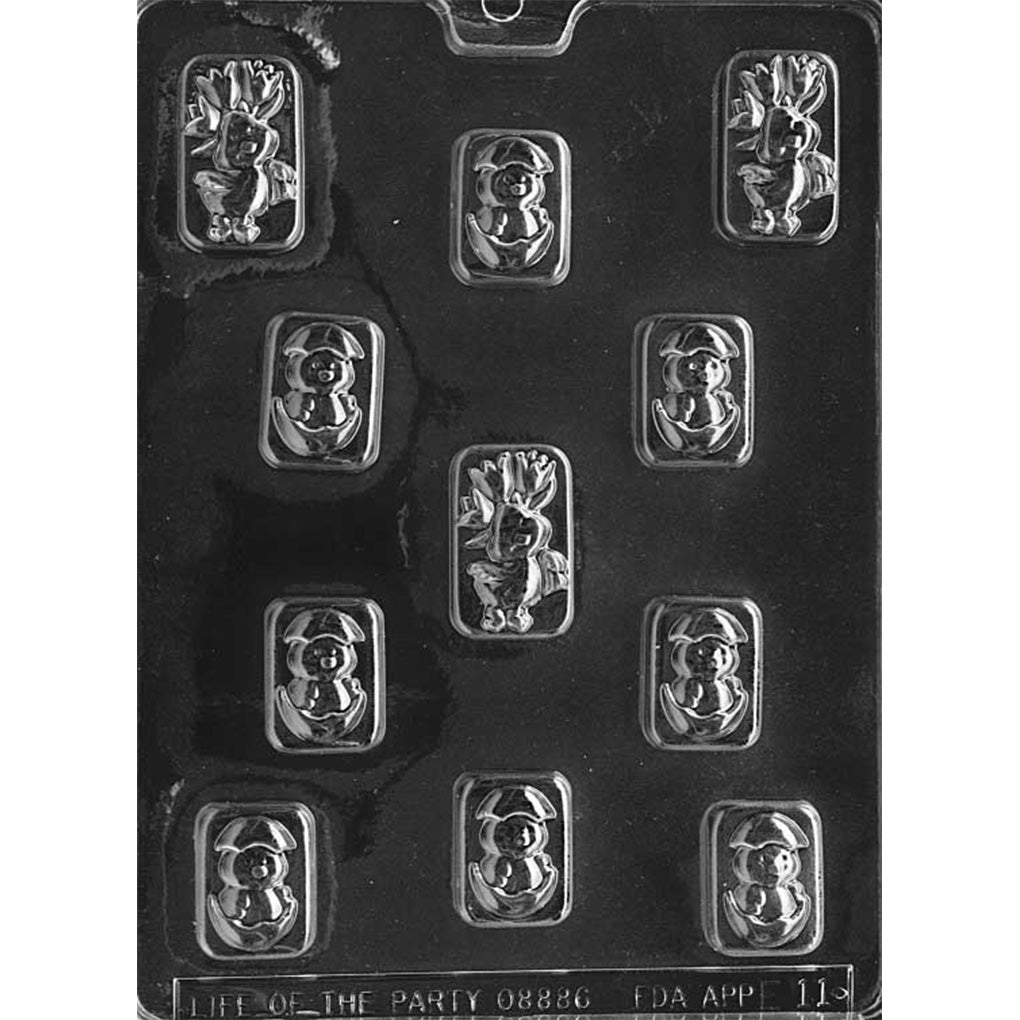 Clear plastic chocolate mold shown on a black background with small rectangular cavities featuring baby chick designs, including a chick hatching from an egg and a chick with tulip flowers.