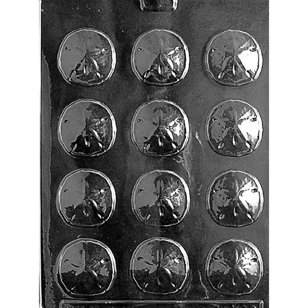 Clear plastic chocolate mold tray with twelve small round sand dollar cavities, each showing a textured sand dollar shell pattern for bite-sized chocolates