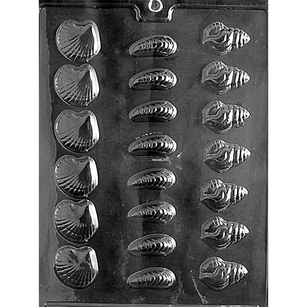 Clear plastic chocolate mold with bite-sized assorted shell cavities, including scallop shells, ridged oval shells, and spiral conch-style shells, shown on a dark background.