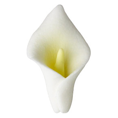 Close-up of a white gum paste calla lily flower with a yellow center, measuring 1 1/2 inches, used for cake and dessert decorating.
