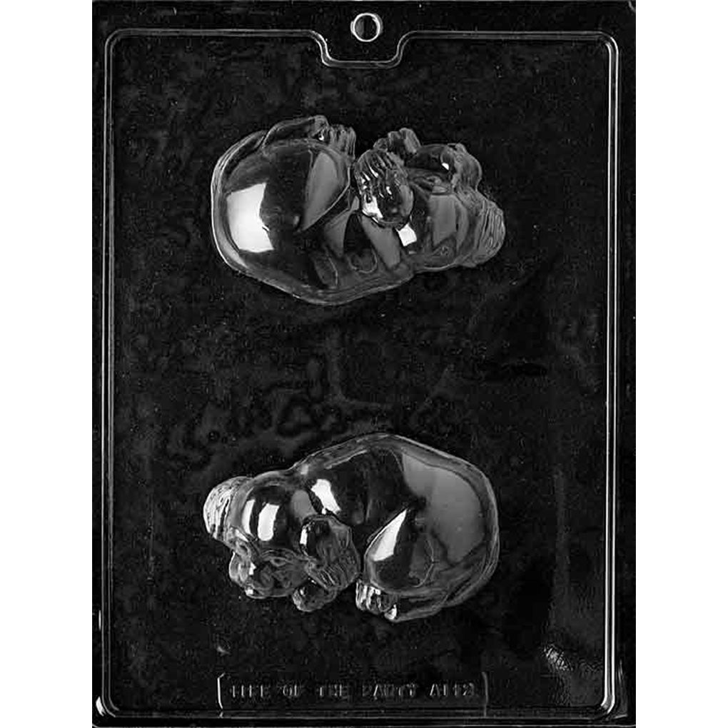 Clear plastic chocolate mold with two cavities shaped like a lying-down spaniel-style dog, showing detailed face, paws, and fur texture.