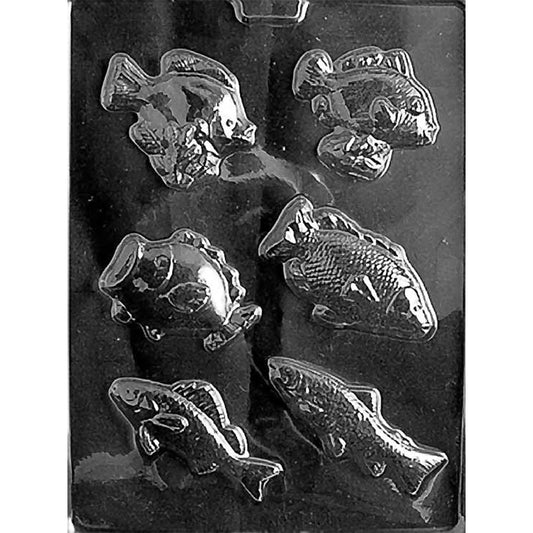 Clear plastic chocolate mold photographed on a black background with six assorted fish-shaped cavities, including rounded and long-bodied fish designs with raised fin and scale details.