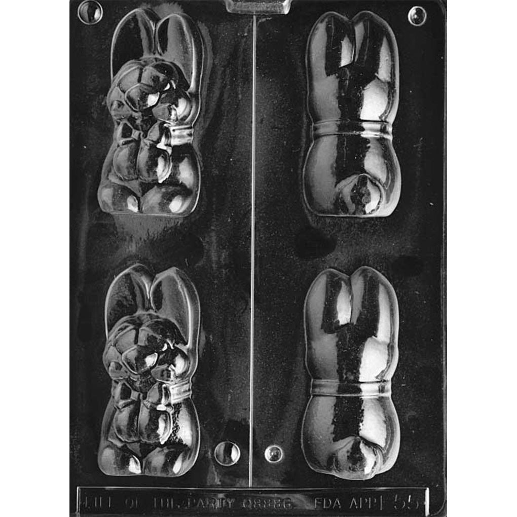 Clear plastic 3D chocolate mold showing two front bunny halves with a chunky seated rabbit face and paws, alongside two smooth back halves, separated by a center line.