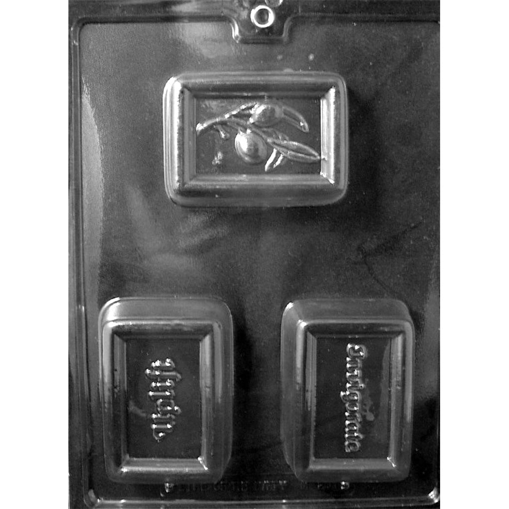 Clear Invigorating 3 Bar Combo Chocolate Mold photographed against a black background with three deep rectangular cavities featuring Uplift, Invigorate, and a leafy branch with fruit.