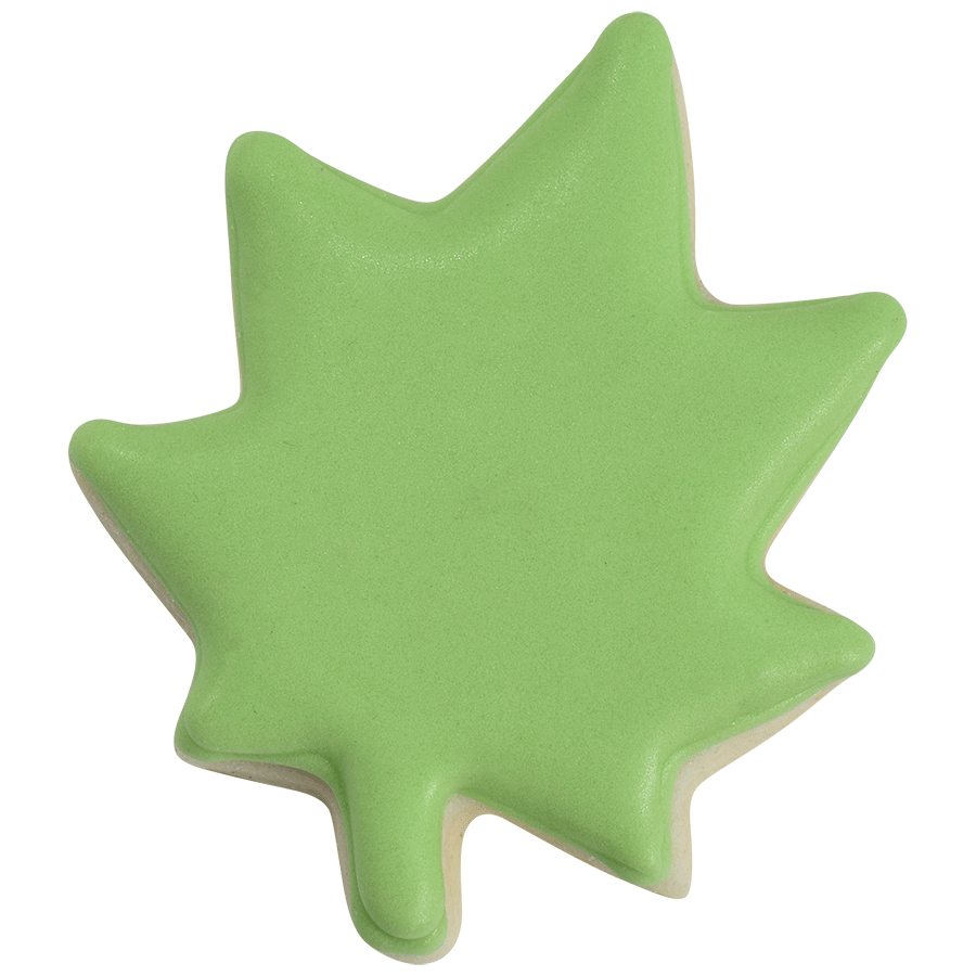 Green maple leaf cookie with smooth icing.