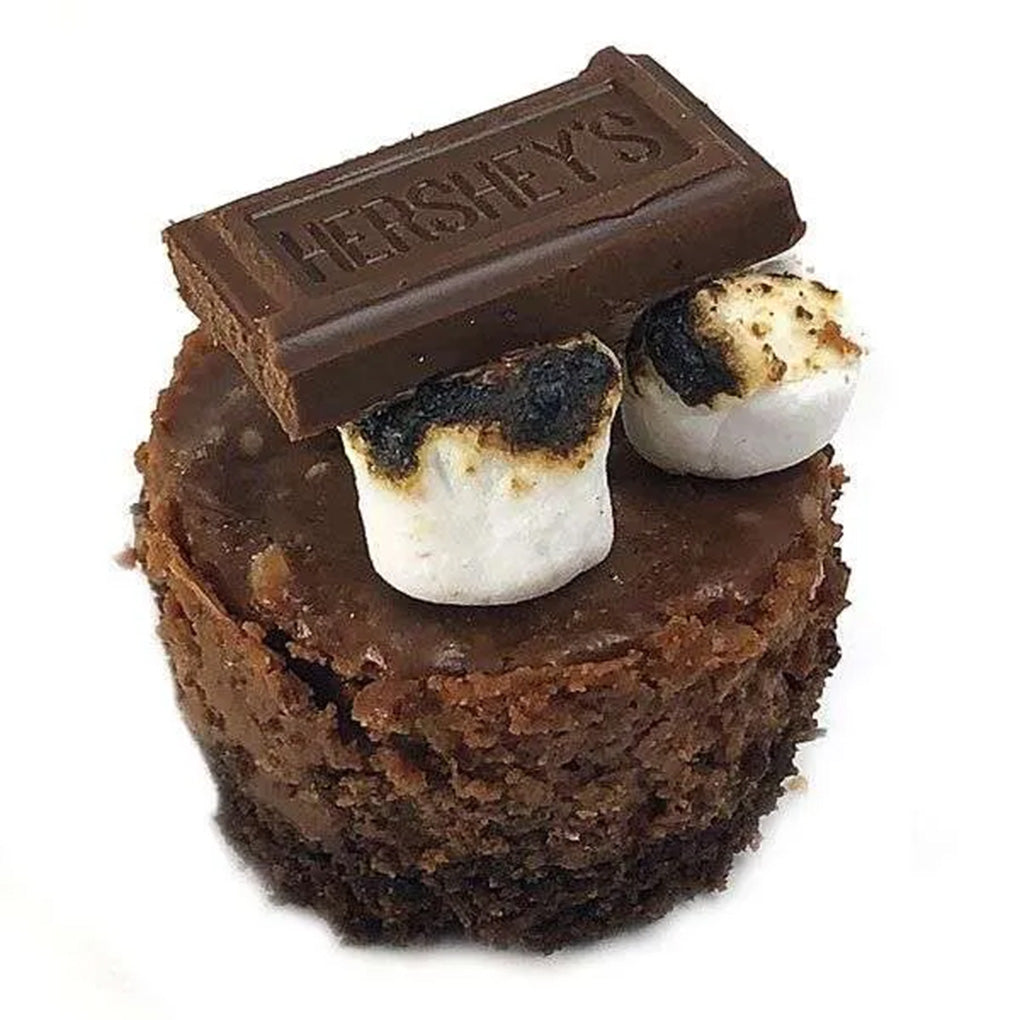 Mini s’mores cheesecake topped with toasted marshmallows and a piece of chocolate.