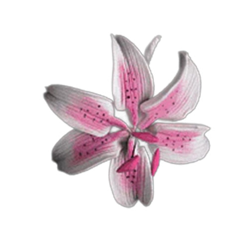 Pink stargazer lily illustration with gray-tipped petals, dark speckles, and a white background.