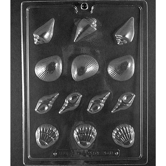 Thirteen-cavity seashell assortment chocolate mold with cone, rounded ribbed, small spiral, and scallop shell designs