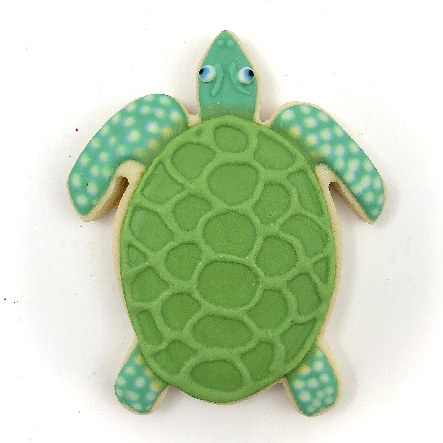 Sea turtle-shaped cookie decorated with green and teal icing featuring a shell pattern and polka dot details on the flippers.