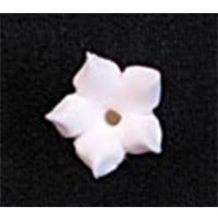 Small white royal icing bouvardia flower with five pointed petals and a center dot, shown on a black background.
