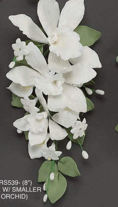 Cymbidium Orchid Spray White 8"