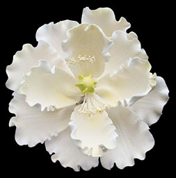 Jumbo white peony gum paste flower with delicate layered petals, approximately 4.5 inches wide, ideal for cake decorating.